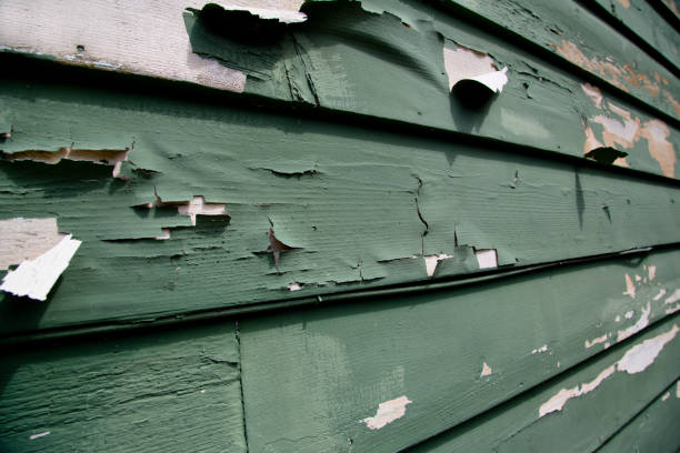 Best Fascia and Soffit Installation  in Purdy, WA